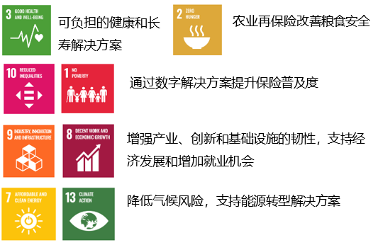 Examples of reinsurers’ contributions to the SDGs