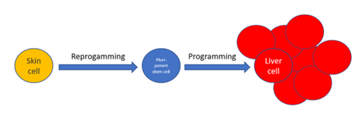 Simplified example