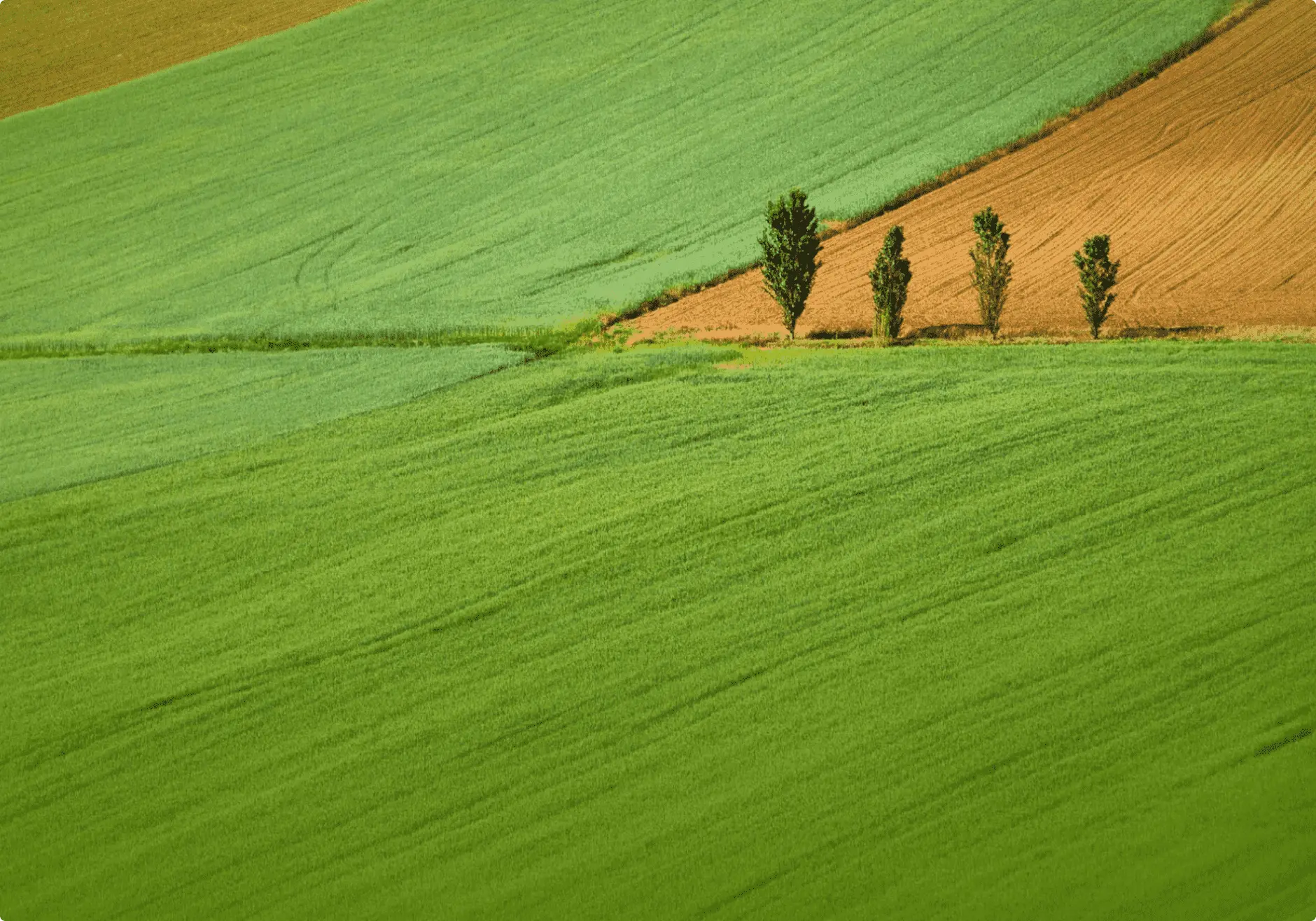 Peak Re - Sustainability