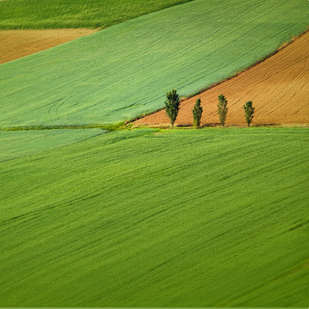 Peak Re - Sustainability